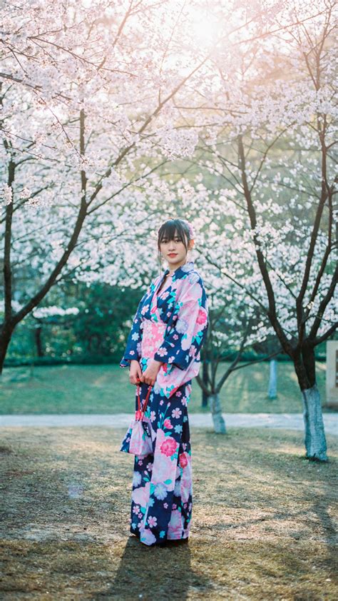 japanese girl in kimono sakura android wallpaper android