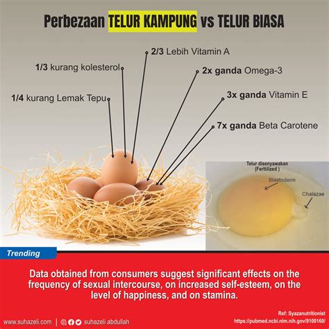 Baik Untuk Tenaga ” Doktor Dedah Ini Beza Khasiat Telur Ayam