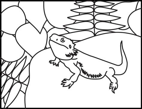 bearded dragon coloring pages roaring spork