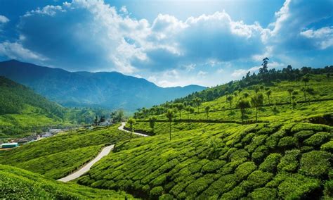 Munnar Kerala The Perfect Summer Getaway For 2019