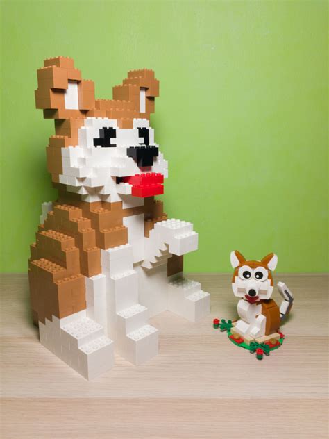 lego set review exclusive  cm lego dog novalistic