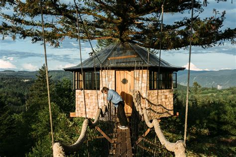 guy quits  job  build  cool tree house     king