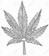 Weed Coloring Pages Printable sketch template