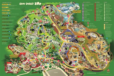 san diego zoo california park map  behance