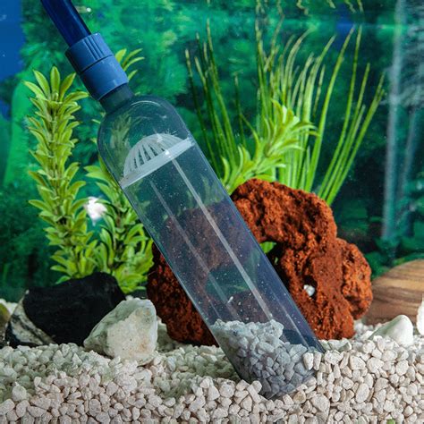 fish tank clean aquarium dimensions