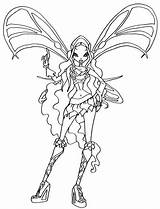 Layla Winx Sophix Bloom Elfkena Bw Coloring Coloringpagesfortoddlers Musa sketch template