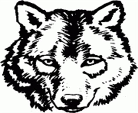 wolf  adult anti stress coloring pages printable