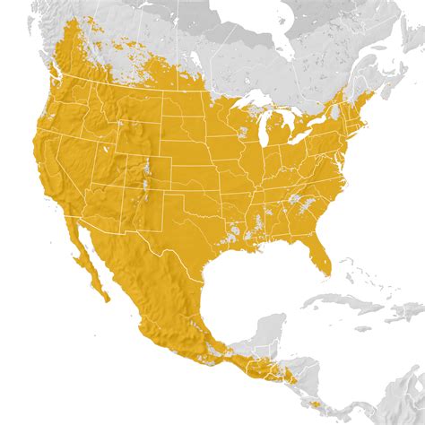 coopers hawk range map post breeding migration ebird status