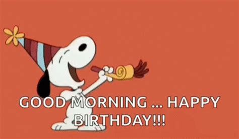 exciting happy birthday gifs  quotes