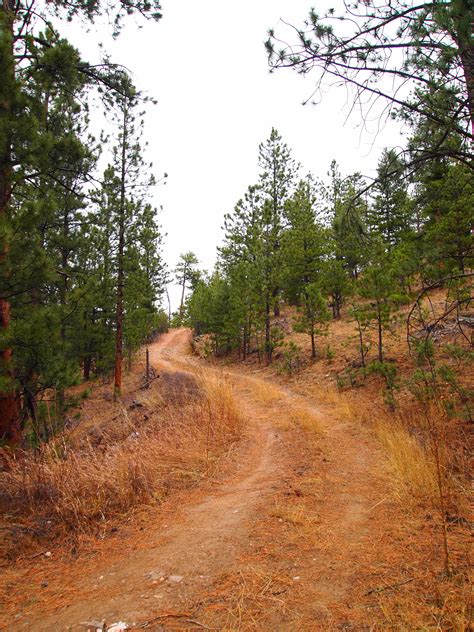 primitive road  property road country roads loveland