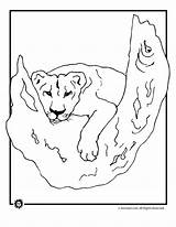 Coloring Lioness Pages Lion Tree Coloringtop Animal sketch template