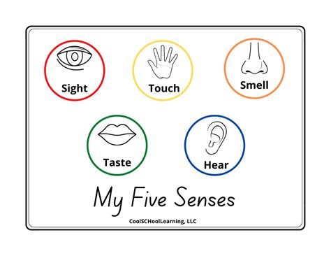 senses printable preschool poster kindergarten readiness kids