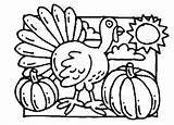Pumpkin Coloring Pages Thanksgiving Turkey Halloween sketch template