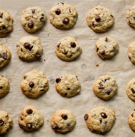 mini chocolate chip cookies vegan recipe