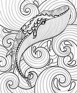 Whale Zentangle Sea Coloring Adult A4 Vector Print Stock Illustration Animal Hand Panki sketch template