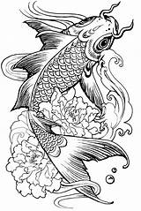 Carp Fishes sketch template