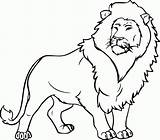 Coloring Lion Pages Lions Little Popular Kids sketch template