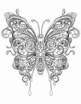 Butterfly Adulte Papillon Schmetterling Schwer Butterflies Colouring Colorear Archivioclerici Intricate Parfait Bestcoloringpagesforkids Coloriages sketch template