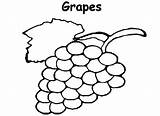 Grapes Coloring Pages Planting Raisins Drawing Getdrawings Getcolorings Colorluna sketch template