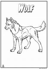 Coloring Pages Animal Planet Wolf Book Kingdom Magic Getcolorings Getdrawings Drawing sketch template