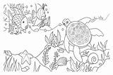 Coloring Seabed Pages Mar Do Fundo Print Para Colorir Corais Color Kids sketch template