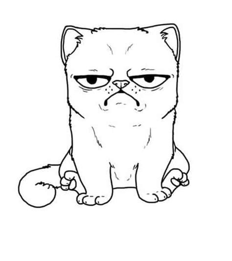 grumpy cat coloring pages  cats coloring pages printable cats