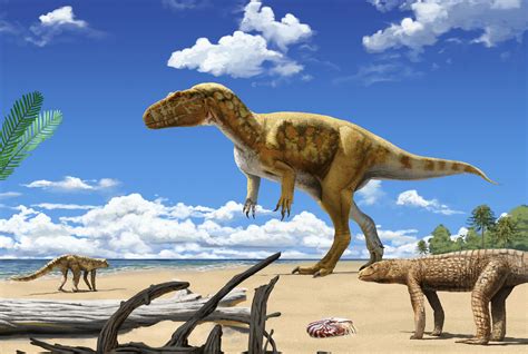 meet  oldest large predatory dinosaur   earthcom