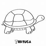 Tortuga Tortugas Plusesmas Ocio Fáciles Gratistodo Turtle Imprimirlas Colorearlas Niñ Puedan Luego sketch template