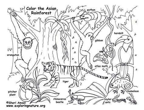 ecosystem coloring pages  tedy printable activities