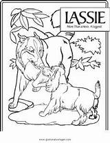 Lassie Malvorlagen Ausmalen sketch template