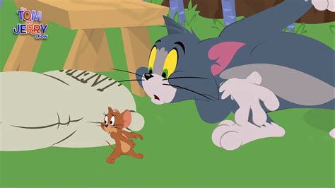 cute tom  jerry images deals clearance save  jlcatjgobmx
