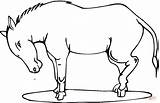 Donkey Coloring Pages Stubborn Para Burros Color Donkeys sketch template
