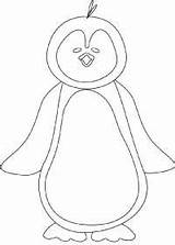Chilly Penguin Little Coloring Pages Book Cartoon sketch template
