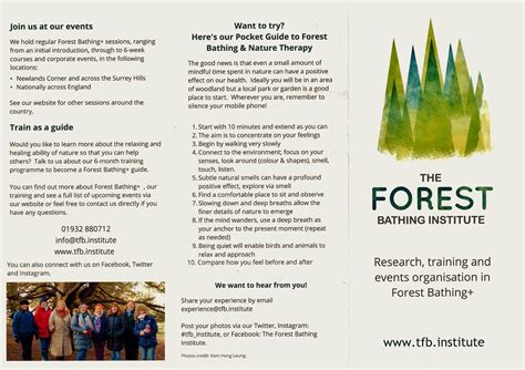 The Forest Bathing Institute Information Leaflet December Flickr