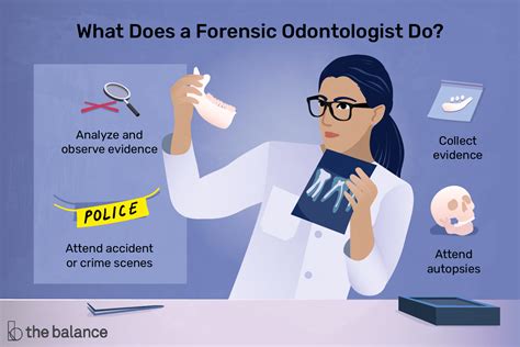 forensic odontology career profile