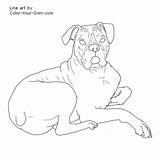 Boxer Boxers Laying sketch template
