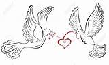 Doves Kissing Taube Heart Zeichnung Lovebirds sketch template