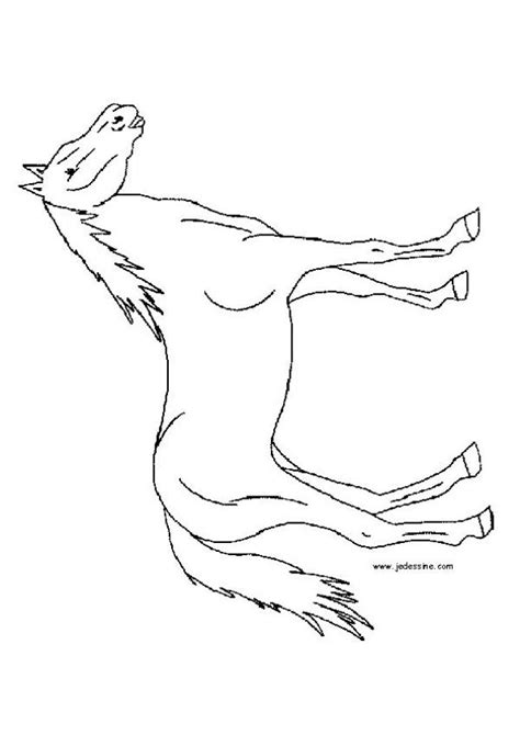 horse coloring pages horse outlines
