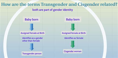 gender pronouns lesbian gay bisexual transgender queer and