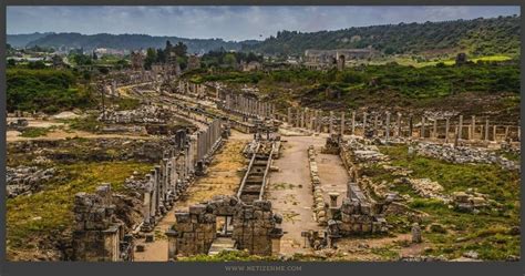 forms  government  ancient greek city states knowledge netizen