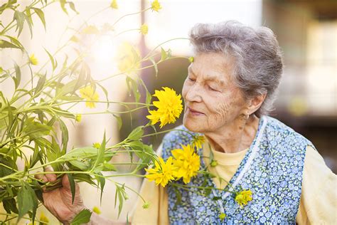 Older Adults Who Can Really Smell The Roses May Face Lower Likelihood
