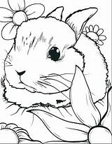 Coloring Pages Printable Rabbit Bunnies Bunny Getcolorings Print Pag Color sketch template