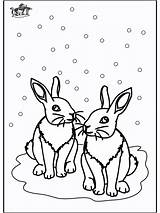 Kaninchen Kleurplaten Conigli Inverno Wintertiere Hiver Malvorlagen Conejos Invernali Konijnen Coelhos Lapins Mewarn15 Rabbits Eichhornchen Funnycoloring Pixel Dellinverno Invernales Anzeige sketch template