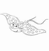 Manta Smiling Swimmer Coloringsun sketch template