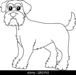 schnauzer dog coloring page  kids stock vector image art alamy