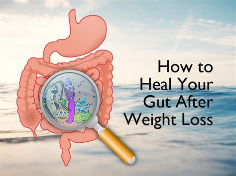 how to heal your gut after weight loss nava health