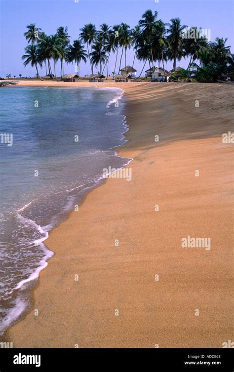 ivory coast africa beach  res stock photography  images alamy