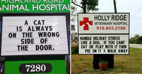 30 Hilarious Vet Clinic Signs That Will Make Your Day Bouncy Mustard