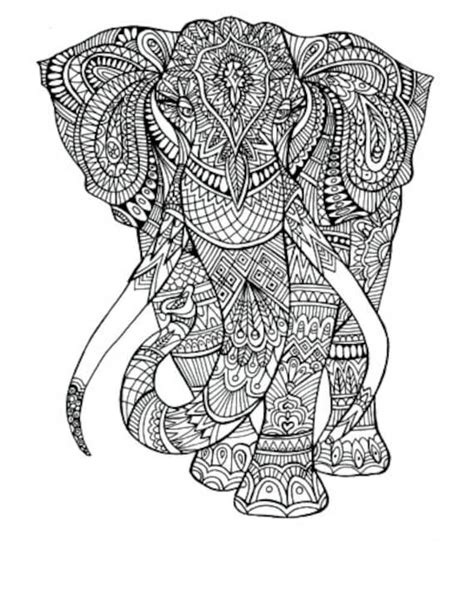 elephant coloring page  adults etsy