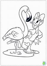 Duck Daisy Mewarnai Ausmalbilder Dinokids Kartun Pemandangan sketch template